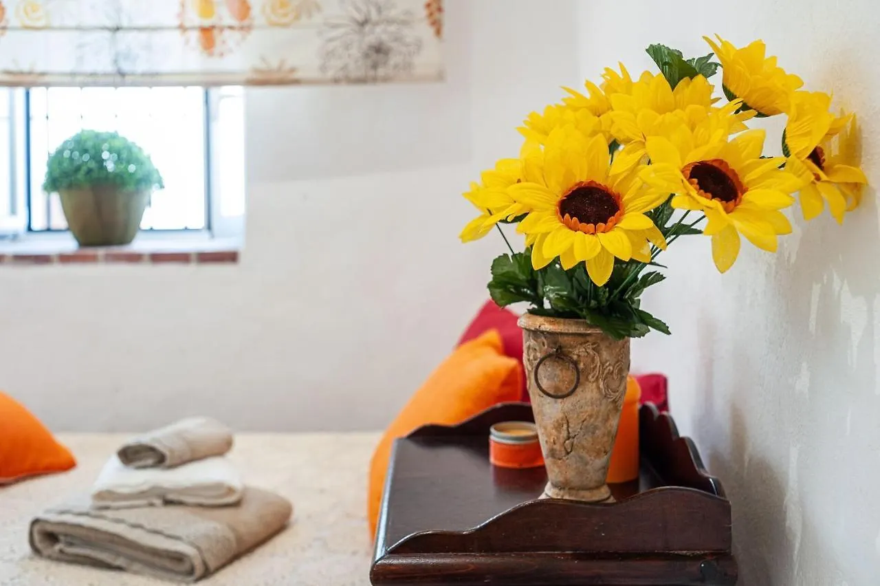 Apartamento Los Girasoles Vejer de la Frontera Spain